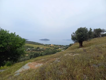 Oikoπεδο οικοδομησιμο