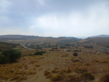 Οικοπεδο 