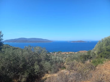 Οικοπεδο